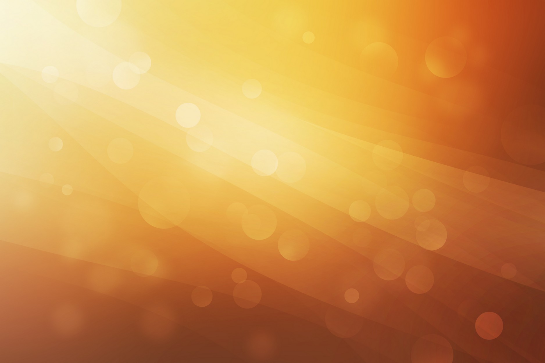 2022 Arvada on Tap Vendor Application